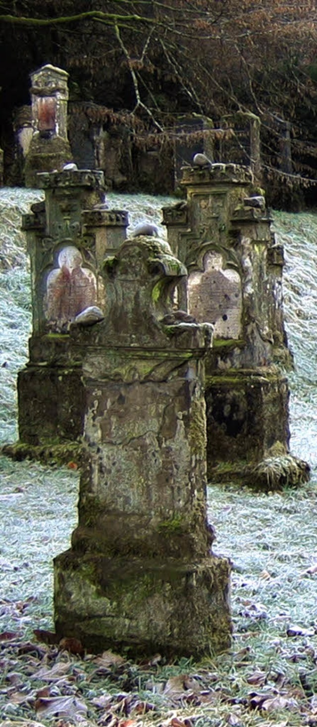 Friedhof in Sulzburg, einst eine groe jdische Gemeinde.   | Foto: BZ