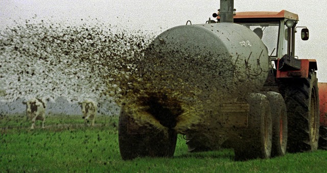 Geld stinkt nicht, heit es. Ob das wirklich stimmt?   | Foto: dpa