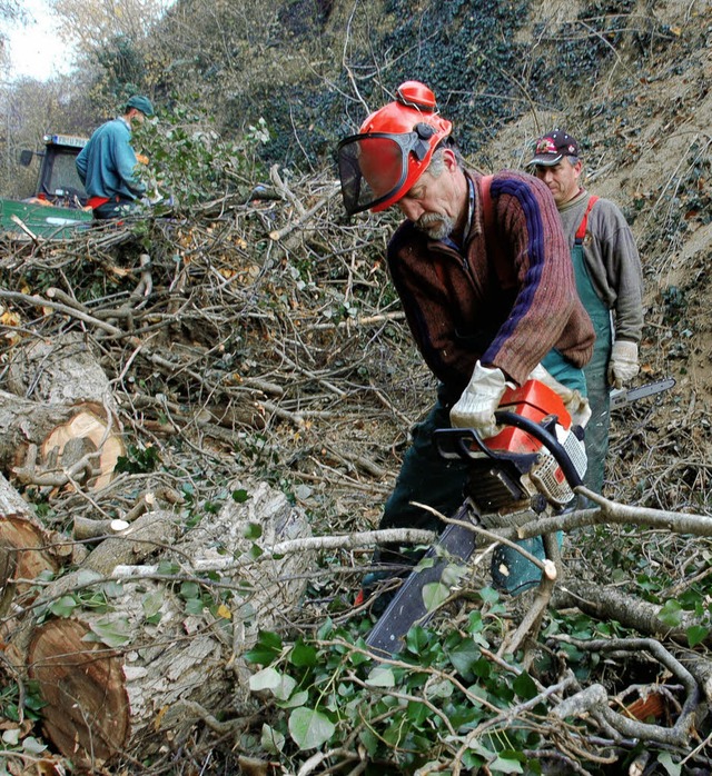 Ordentlich hinlangen musste man  bei  ...ege in den Btzinger  Lsshohlwegen.    | Foto: SEBASTIAN EHRET