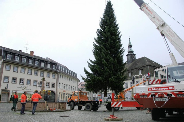 Am Haken: Seit gestern steht der Weihnachtsbaum auf dem Marktplatz.   | Foto: Gerhard Walser