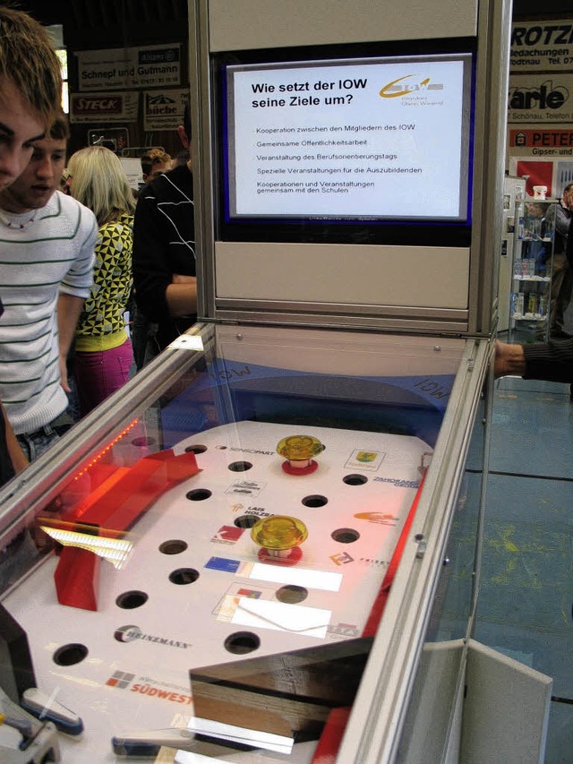 Spielerische Werbung: Der  Initiativkr...l  hat ein  Flipperspiel entwickelt.    | Foto: Privat