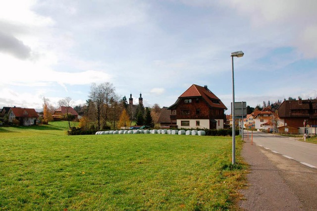 Auf dieser Matte am Rande des Zentrums...er will der Investor den Markt bauen.   | Foto: scherfling