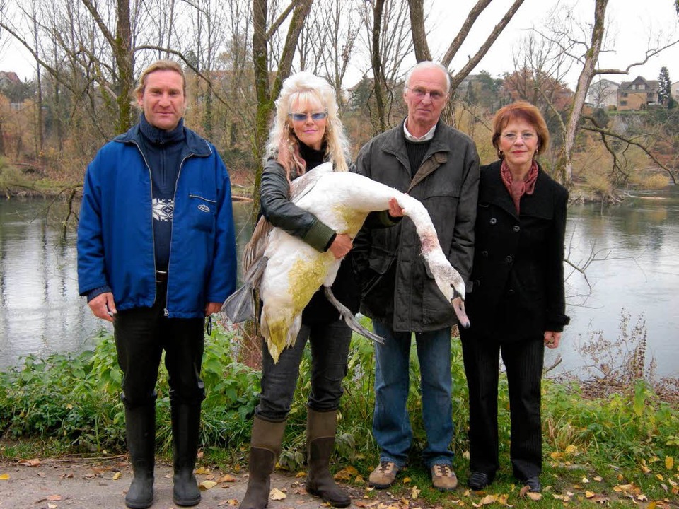 Bernd Thoma, Carmen Weitzel, Ernst und...eben Monate alten Jungschwan gerettet.  | Foto: Heike Armbruster