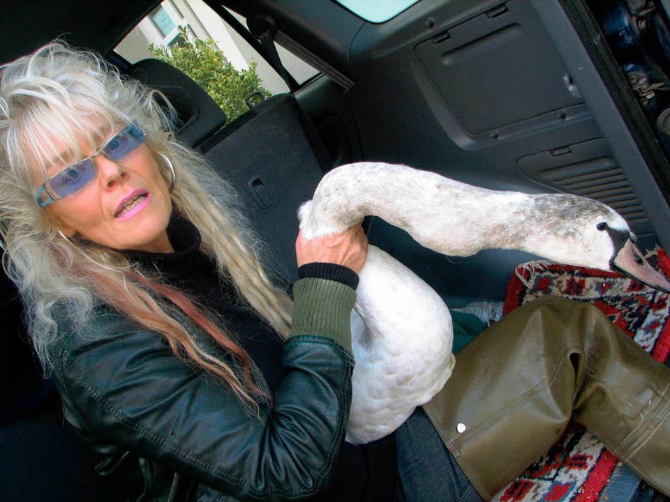 Carmen Weitzel mit dem verletzten Schwan.  | Foto: Hildegard Siebold