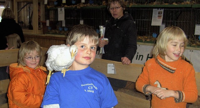 Junge mit Huhn:  Der Streichelzoo der ...rzwaldhalle St. Mrgen  ganz gut an.    | Foto: Tina Httich