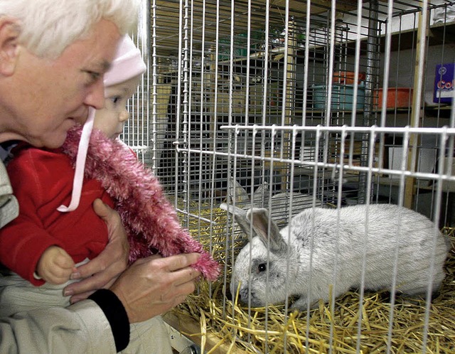 Ob es wohl beit?   | Foto: heidi fssel