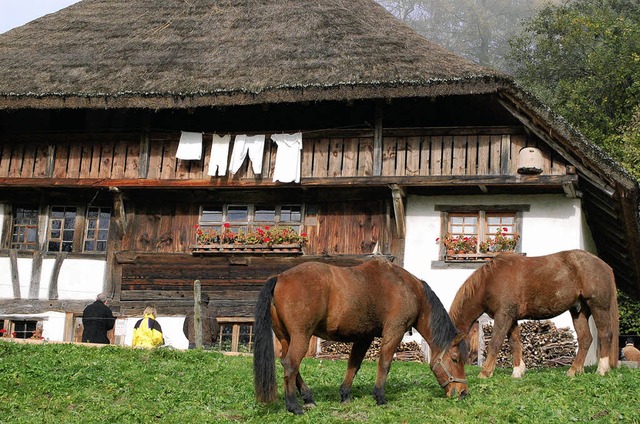 Im November nur noch sonntags geffnet...derhof, dann beginnt die Winterpause.   | Foto: Angelika Schmidt