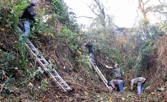 Vom Gestrpp befreit: Der Hohlweg im Gewann Burgbrunnen in Kenzingen  | Foto: Privat