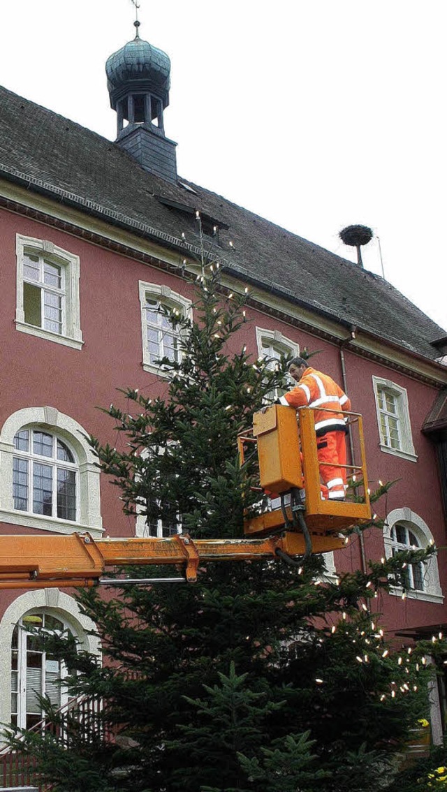 Gestern wurde der Weihnachtsbaum vor dem Rathaus in Stellung gebracht.  | Foto: HILLER