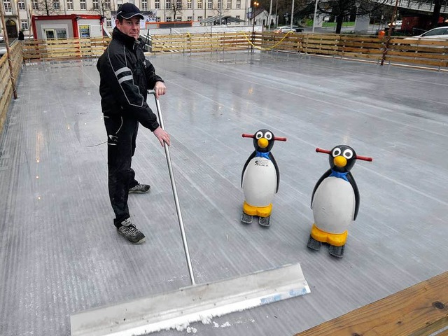 Groe Ohren, glatte Fe: Die Pinguine... sind schon am Karlsplatz eingetroffen  | Foto: Ingo Schneider