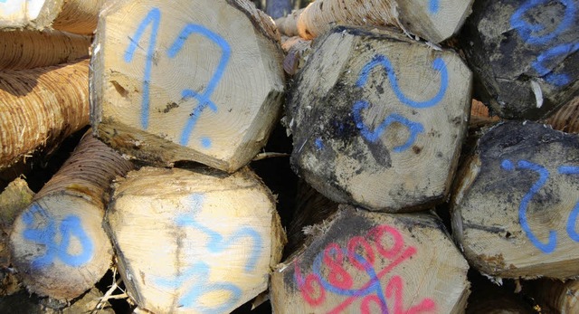 Die Holzpreise sind im Keller, was auc... ein Minus im  Gemeindewald beschert.   | Foto: Hans-Jrgen Trul