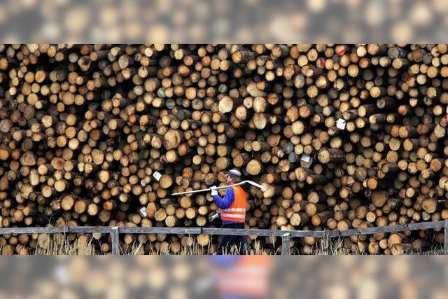 Finanzkrise lässt Holzpreise sinken