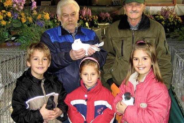 Weiler Geflgelzchter im Hhenflug