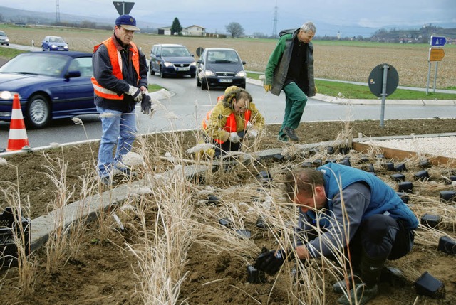 An die landwirtschaftlichen Produkte d...chheim erinnert der neue Kreisverkehr.  | Foto: Roland Vitt