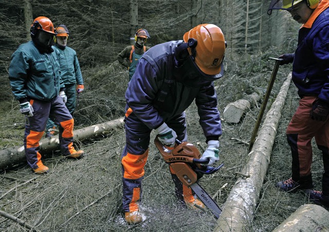 Mehr als 2009 haben Arbeiter nchstes Jahr im Wald zu tun.   | Foto: ddp