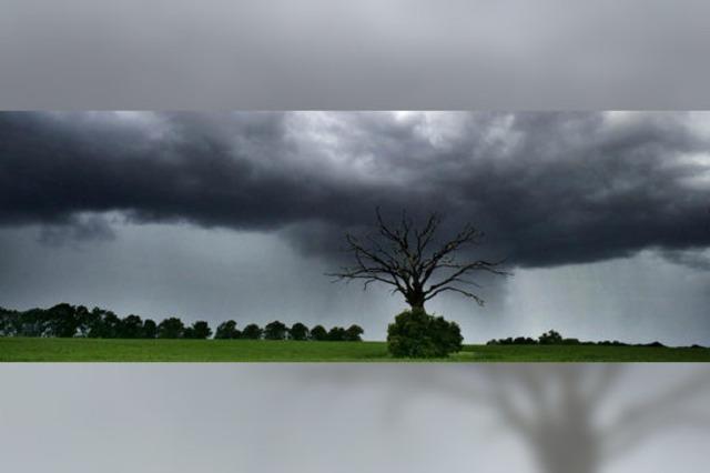 Das Wetter unter Dauerbeobachtung