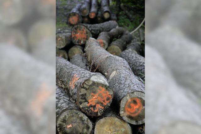 Gut fr die Waldbesitzer, schlecht fr die Sger