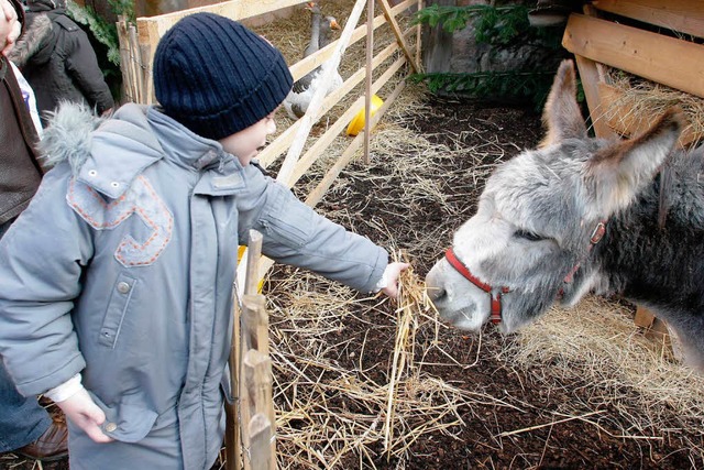 Die lebende Krippe am Storchenturm zieht viele Kinder an.  | Foto: Heidi Foessel