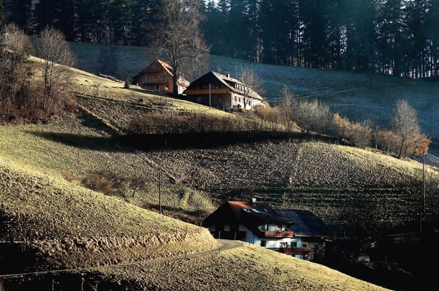 Hhenlandwirtschaft in Steillagen, wie... Ulrich, wird auch knftig gefrdert.   | Foto: Siegfried Gollred