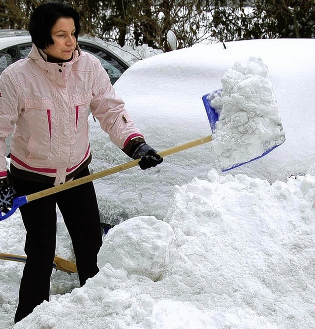 winter  | Foto: peter stellmach