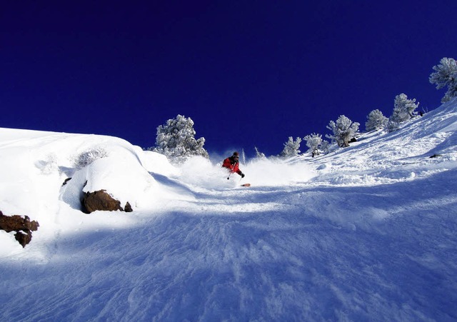 Es ist steil, der Schnee staubt, es is...8211; Backcountry &#8211; von Snowbird  | Foto: PR
