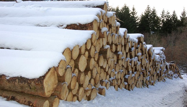 Frisch geschlagenes Holz am Kiesgrubenweg  | Foto: Martin Wunderle