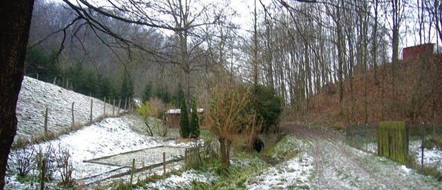 Das Aubach-Tal, wo (rechts) das Regen... wird. Rodungen sollen bald erfolgen.   | Foto: Hgg