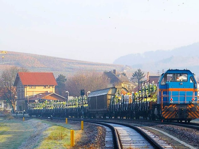 Mit dem Zug werden die Mhmaschinen nach Breisach transportiert.  | Foto: privat