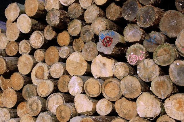 Holz fr finnische Lampenmasten