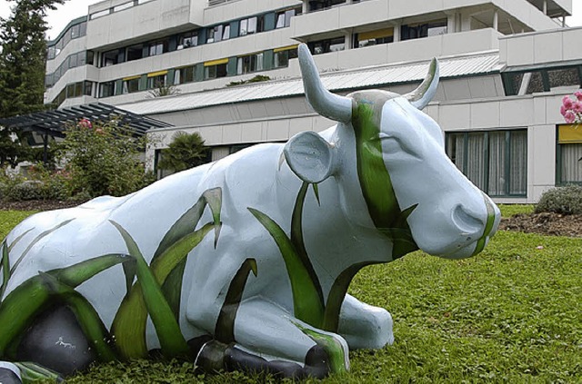 Das Kreiskrankenhaus bewegt derzeit viele Gemter.   | Foto: bz