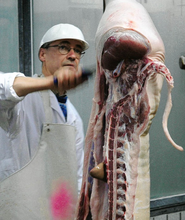 Ein Tierarzt untersucht ein geschlacht...trieben nachtrglich teuer zu stehen.   | Foto: Archivfoto: Ralf Dorweiler