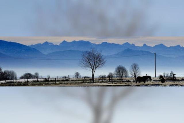 Bilder des Tages: GRASEN MIT PANORAMA