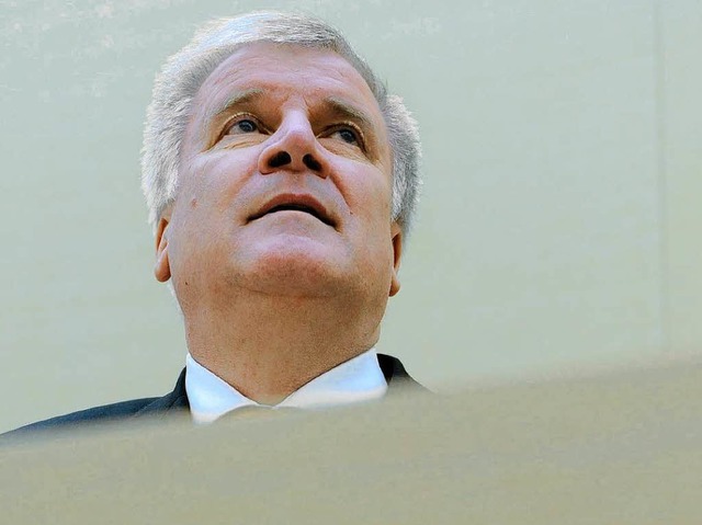 Profiliert sich als bayerischer Lwe: ...rprsident und CSU-Chef Horst Seehofer  | Foto: DPA