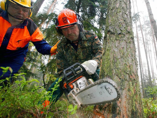 Der Wald braucht Pflege mit der Kettensge.  | Foto: Michael Urban