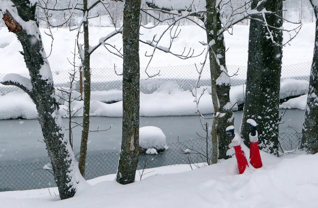 winter im hochschwarzwald  | Foto: peter stellmach