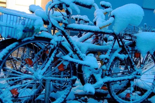 Fotos: Schnee in Todtnau, Todtnauberg und Muggenbrunn