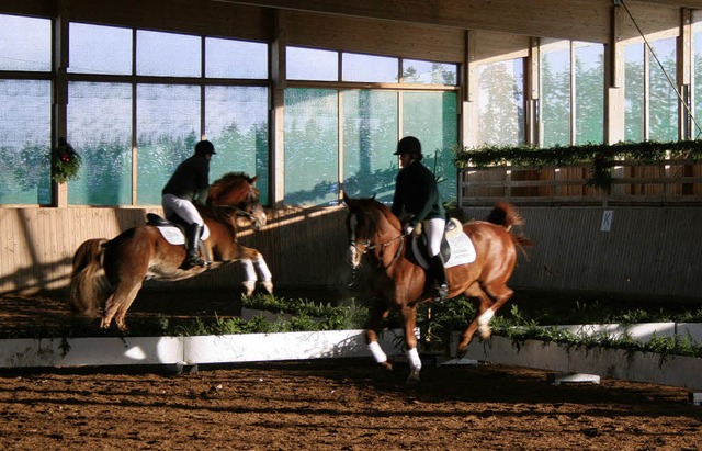 Der Reitverein Schlchttal wartete bei... mit einem zauberhaften Programm auf.   | Foto: Denz