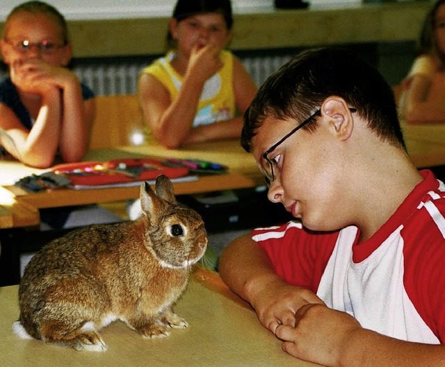 Zwei, die sich mgen:  Pascal und sein  Kaninchen   | Foto: PRIVAT