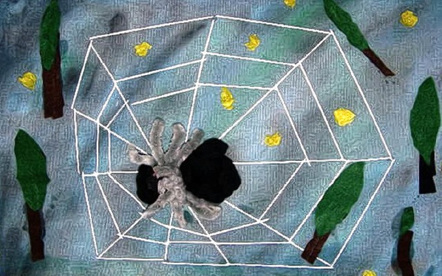 So sieht Edits fertiges Spinnen-Bild aus.   | Foto: Privat