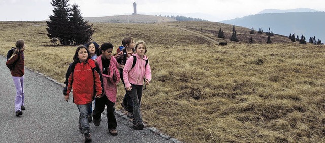 Die Zisch-Kinder bei der Wanderung auf dem Feldberg.   | Foto: Privat