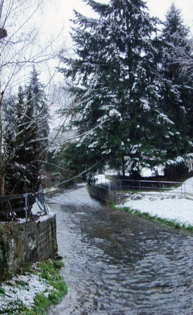 An den Hochwasserschutzmanahmen wird nicht gerttelt.   | Foto: VL