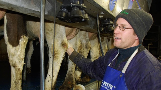Zweimal tglich: Milchbauer Jrg Vollmer beim Melken   | Foto: britta kuck