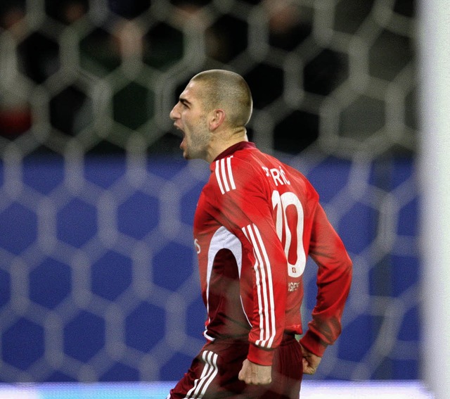 Die Nummer 10 (Mladen Petric) freut si...n Tor zum  1:0 fr den Hamburger SV.    | Foto: dpa