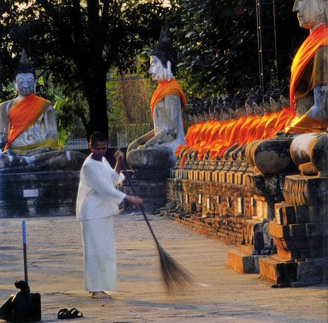 Buddhagarten in der Tempelanlage Wat Yai Chai Mongkon in Thailand  | Foto: terra magica