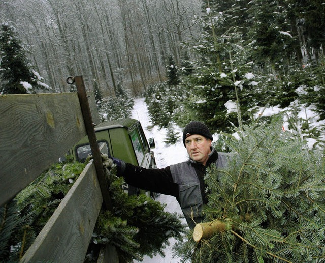 Weihnachtsbaum mit Matthias Kaiser  | Foto: Ralf H. Dorweiler