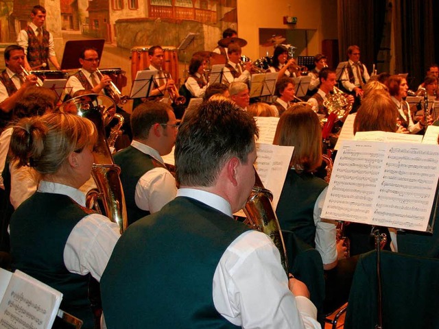 Konzentriert und voller Elan gingen die &#8222;Stadtmusiker&#8220; zur Sache.  | Foto: Reinhard Cremer