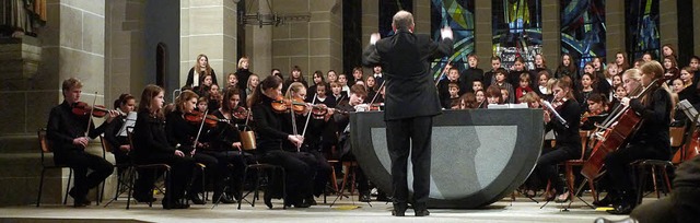 Das sinfonisch besetzte Orchester des Schiller-Gymnasiums   | Foto: privat