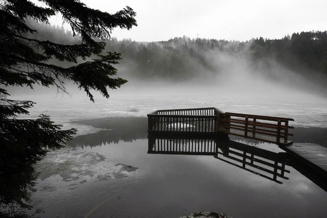 Fr Mensch und Tier ein wichtiger Rck... Nordschwarzwald, hier der Mummelsee.   | Foto: Rolf Haid