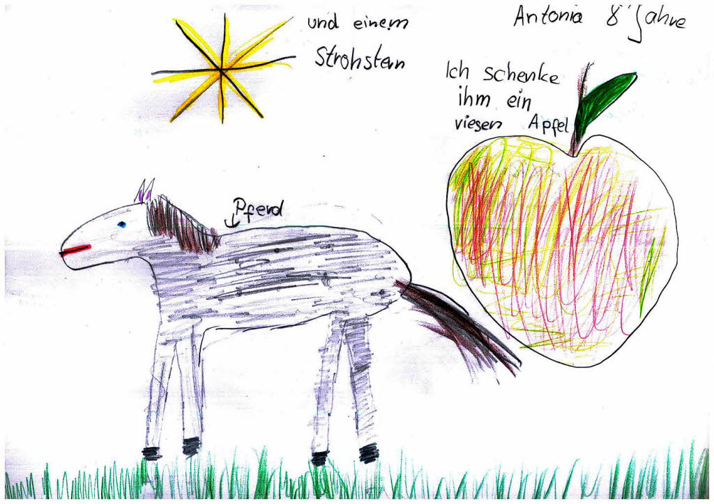 Ich berrasche mein Pferd zu Weihnachten mit einem Strohstern und einem riesigen Apfel. Antonia (8)