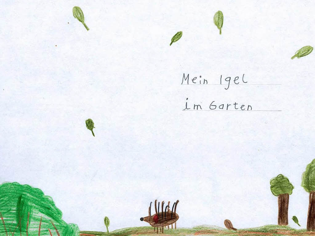 Ich stelle meinem Igel eine Schale Futter neben das Nest. Florian (7)